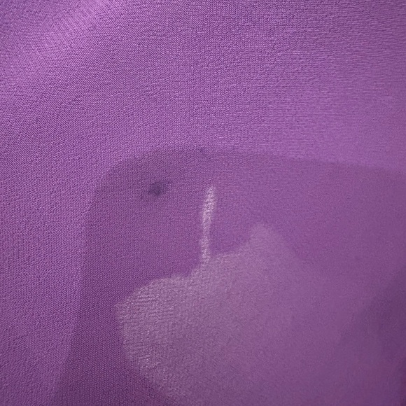 Zara Purple Ruffle Blouse - Picture 5 of 6